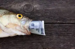Read more about the article Ocean Investing: Where is All the Money?