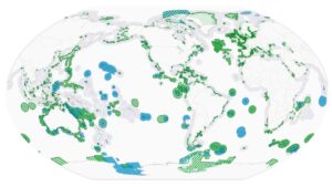 Read more about the article How to Finance and Build a Marine Protected Area (MPA) on a Budget: A Step-by-Step Guide