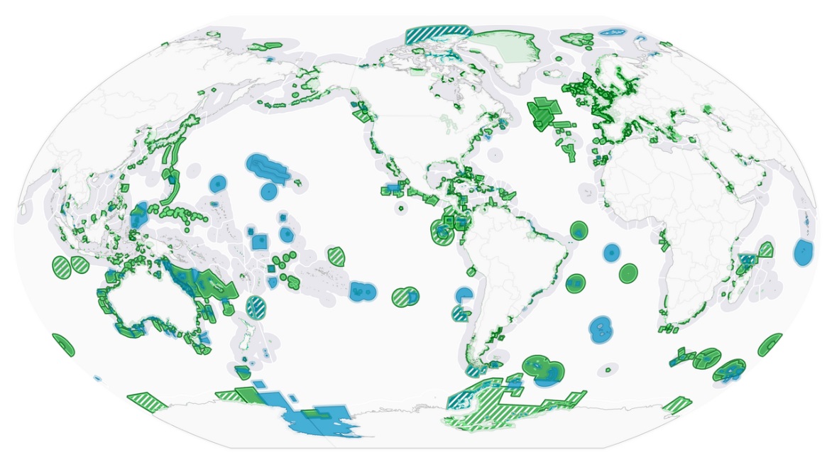 Read more about the article How to Finance and Build a Marine Protected Area (MPA) on a Budget: A Step-by-Step Guide