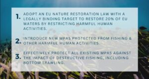 Read more about the article Paper Parks: The Silent Threat to Conservation Investments