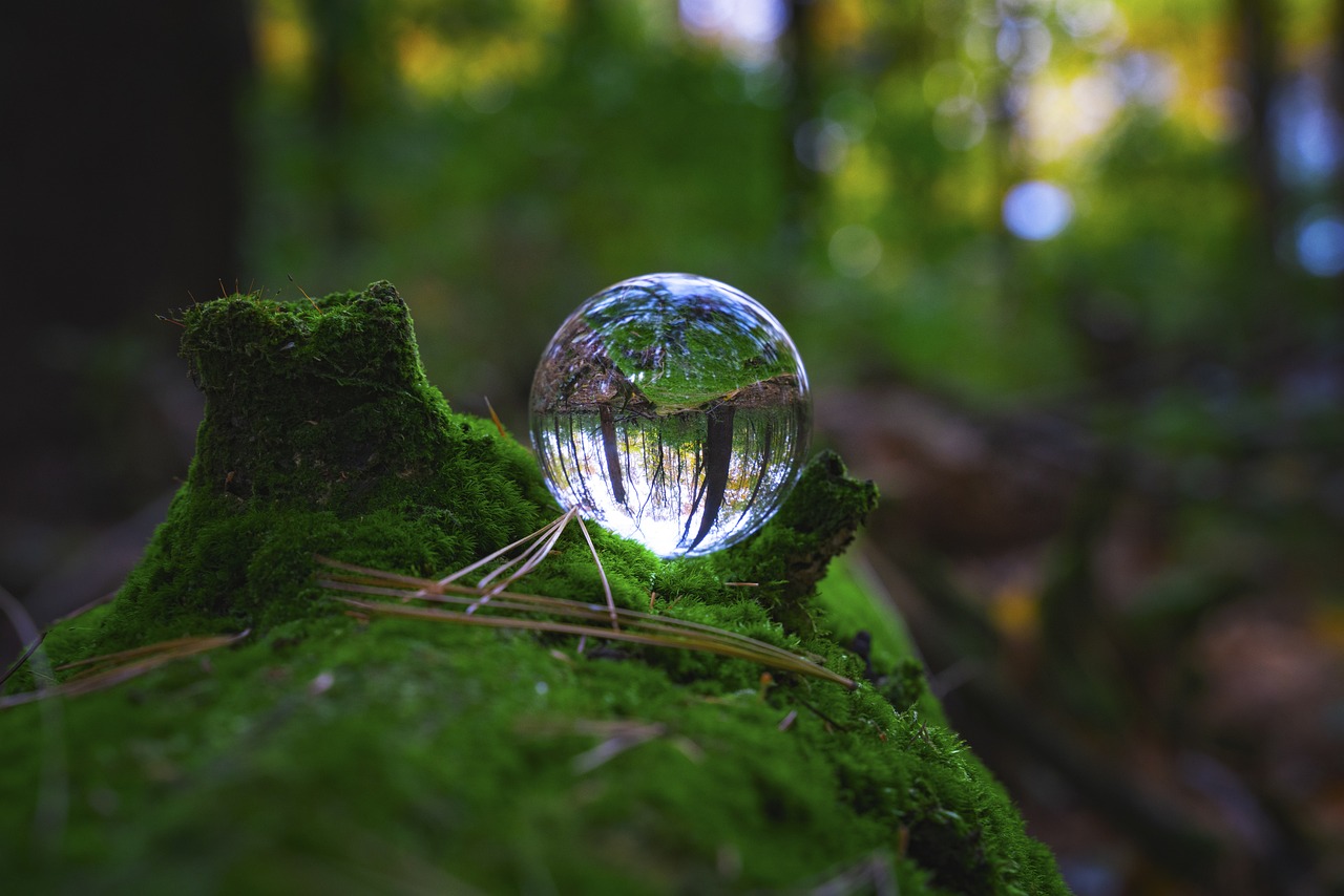 Read more about the article Building Investor Confidence By Creating Scalable Business Models